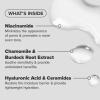 Paula’s Choice SKIN BALANCING Pore-Reducing Face Toner with Niacinamide, for Oily Skin & Combination, Minimizes Large Pores, Controls Oil & Shine, Hydrates & Replenishes, Fragrance-Free(Jumbo Size – 12 Fl Oz)